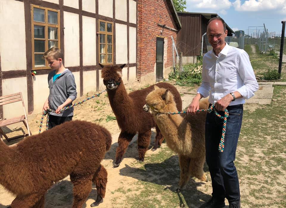  Ausreichenden Kontakt mit Alpakas bekamen die Besucher des CDU-Frühschoppens im Laufe der Besichtigung.